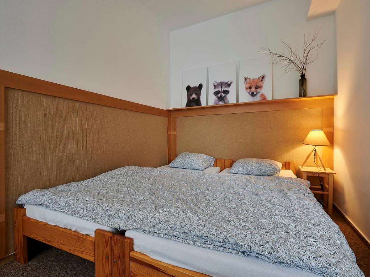 Apartment Harrachovka - Hra102 By Interhome Bagian luar foto